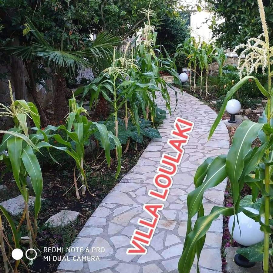 Villa Loulaki Magazia Paxi Arvanitakeika Luaran gambar