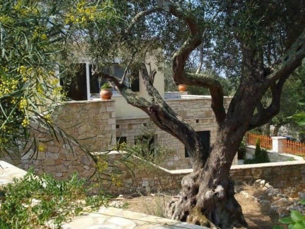 Villa Loulaki Magazia Paxi Arvanitakeika Luaran gambar