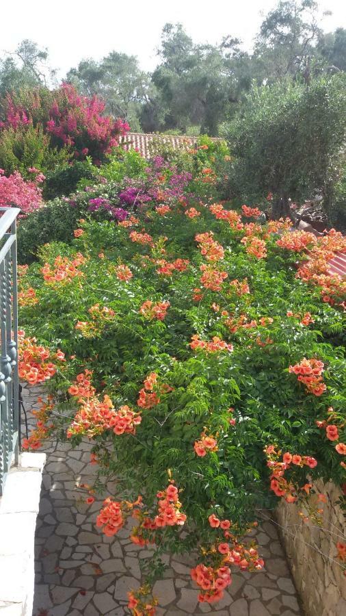 Villa Loulaki Magazia Paxi Arvanitakeika Luaran gambar