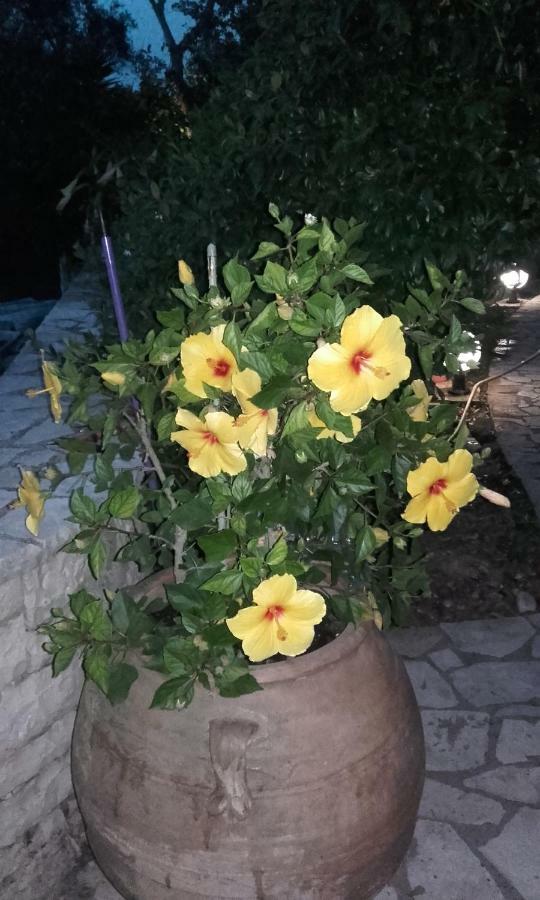 Villa Loulaki Magazia Paxi Arvanitakeika Luaran gambar